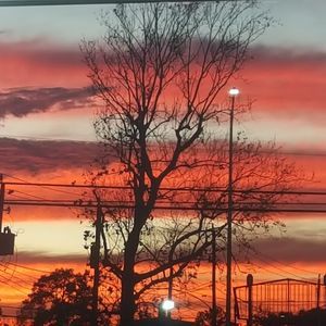 Meet your Posher, Ali